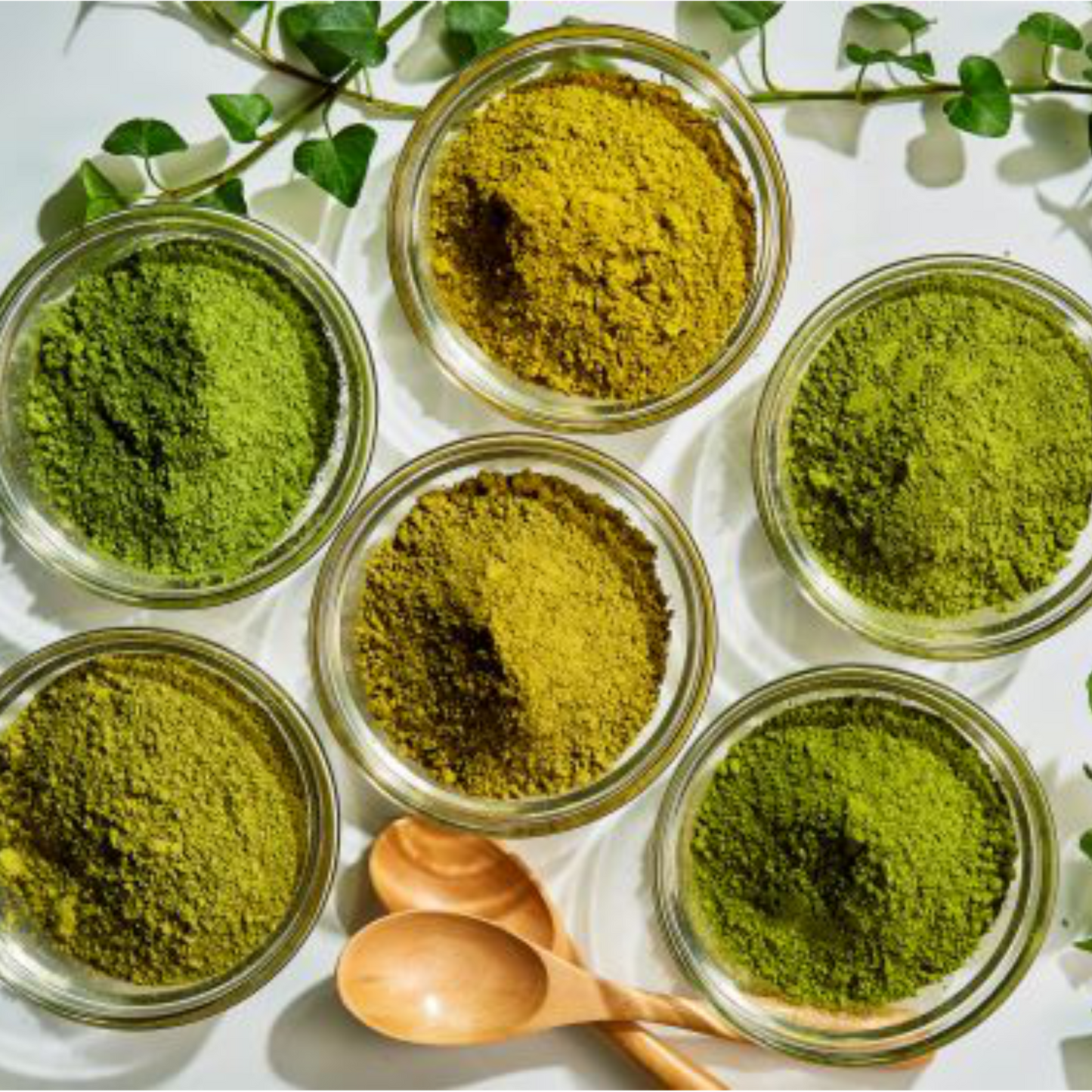 ヘナリスト養成講座【オンライン講座】